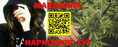 спиды Дубна