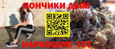 спиды Дубна