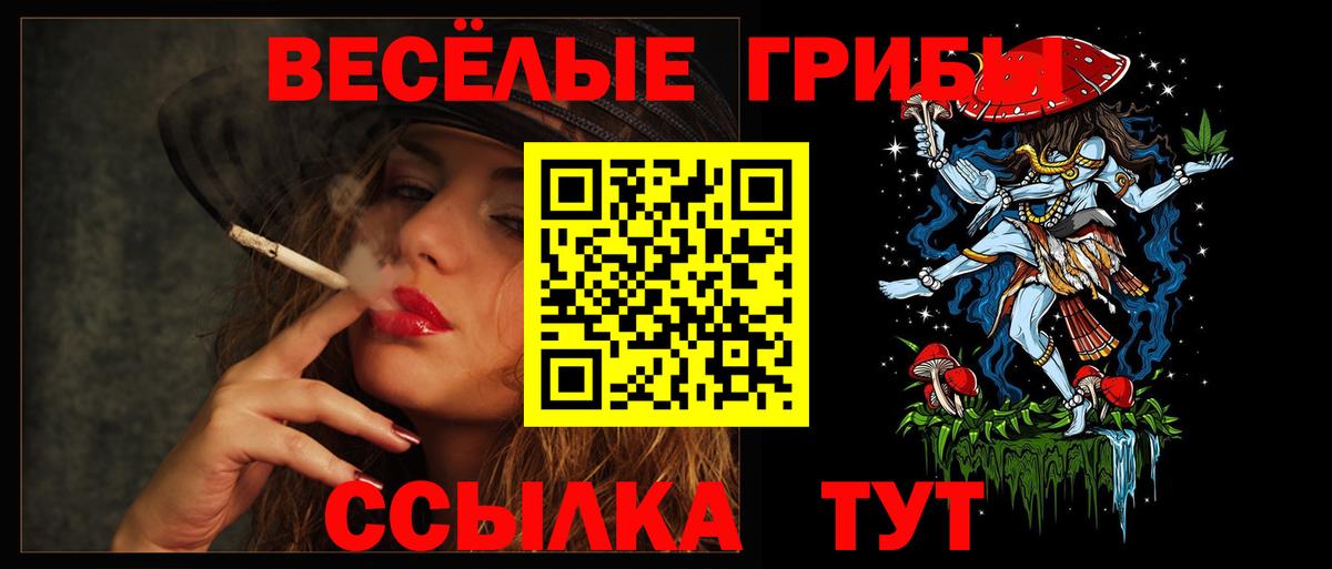 Псилоцибиновые грибы мухоморы Новоалександровск