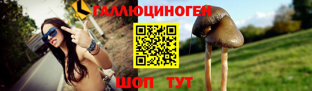 Галлюциногенные грибы ЛСД  Псилоцибиновые грибы MAGIC MUSHROOMS  закладки  Вход с VPN  Новоалександровск 